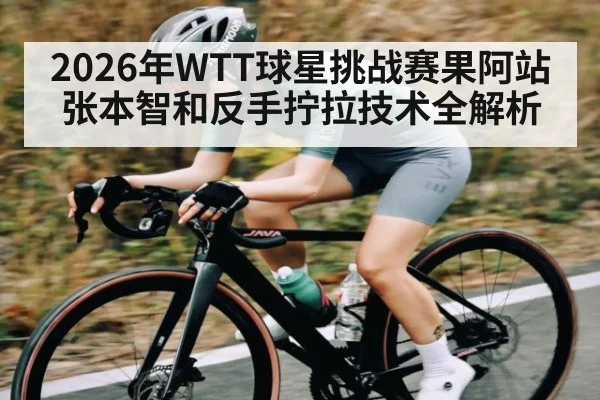 2026年WTT球星挑战赛果阿站张本智和反手拧拉技术全解析